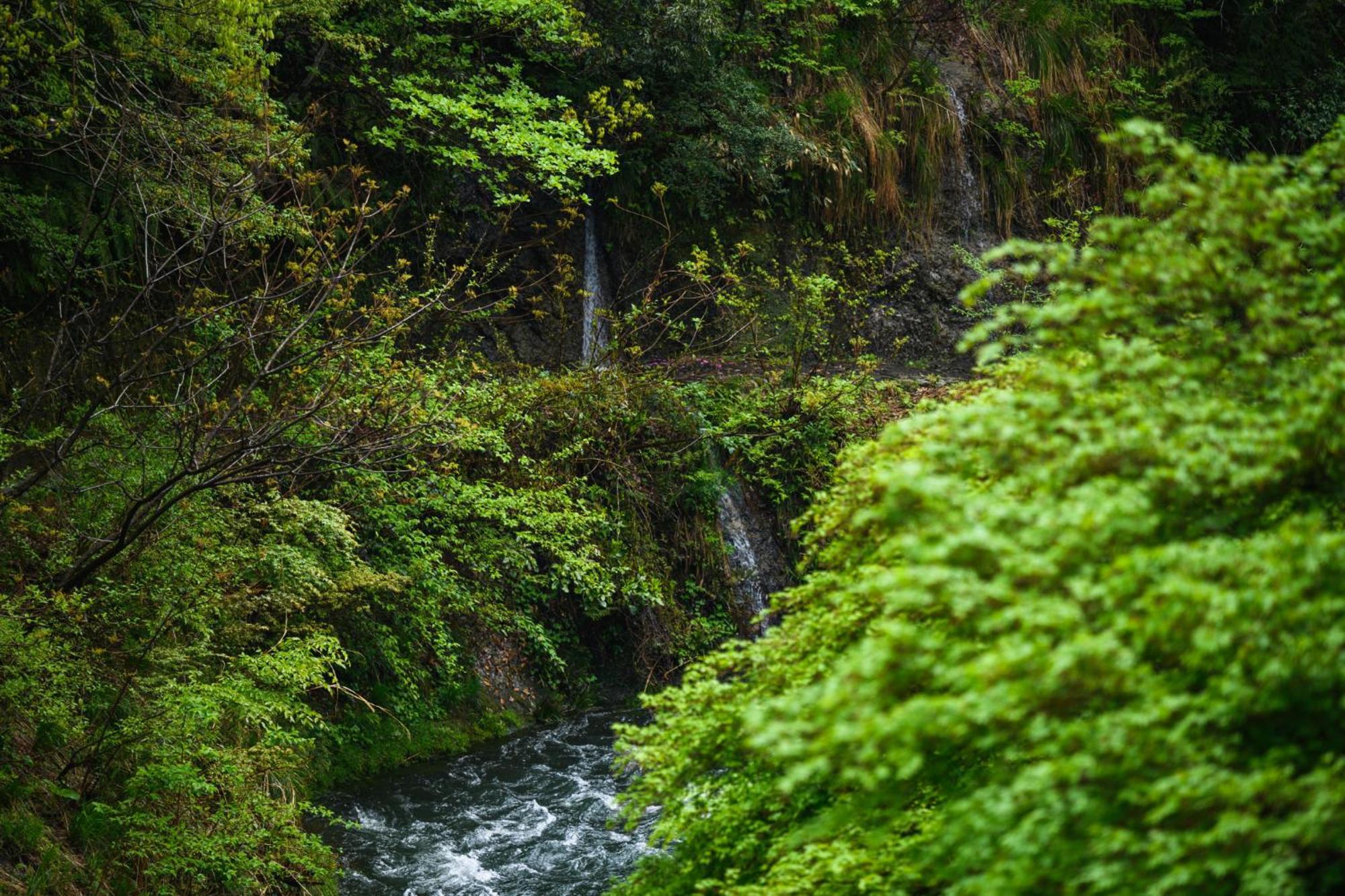 Shirasagiyu Tawaraya Otel Kaga  Dış mekan fotoğraf